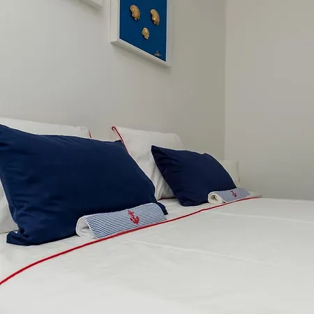 čikat Bay New 2020