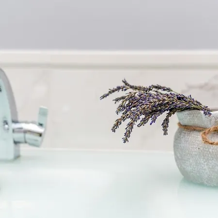 Apartment Cikat Bay Mali Lošinj